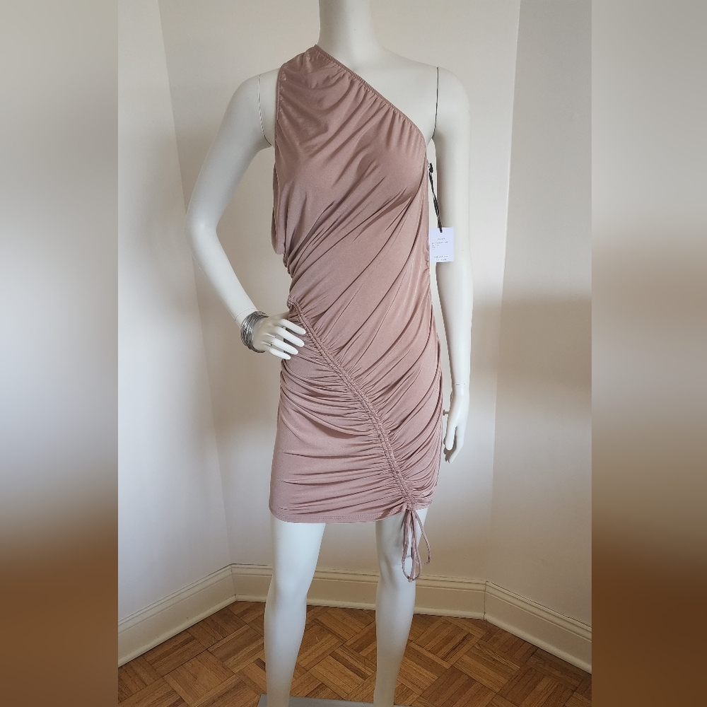 Brand New With Tags Jade Swim Asymmetrical Ruched Bodycon Dress